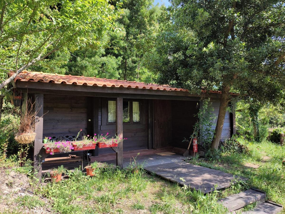 O Cantinho De Coura - A Cabana Paredes de Coura Buitenkant foto