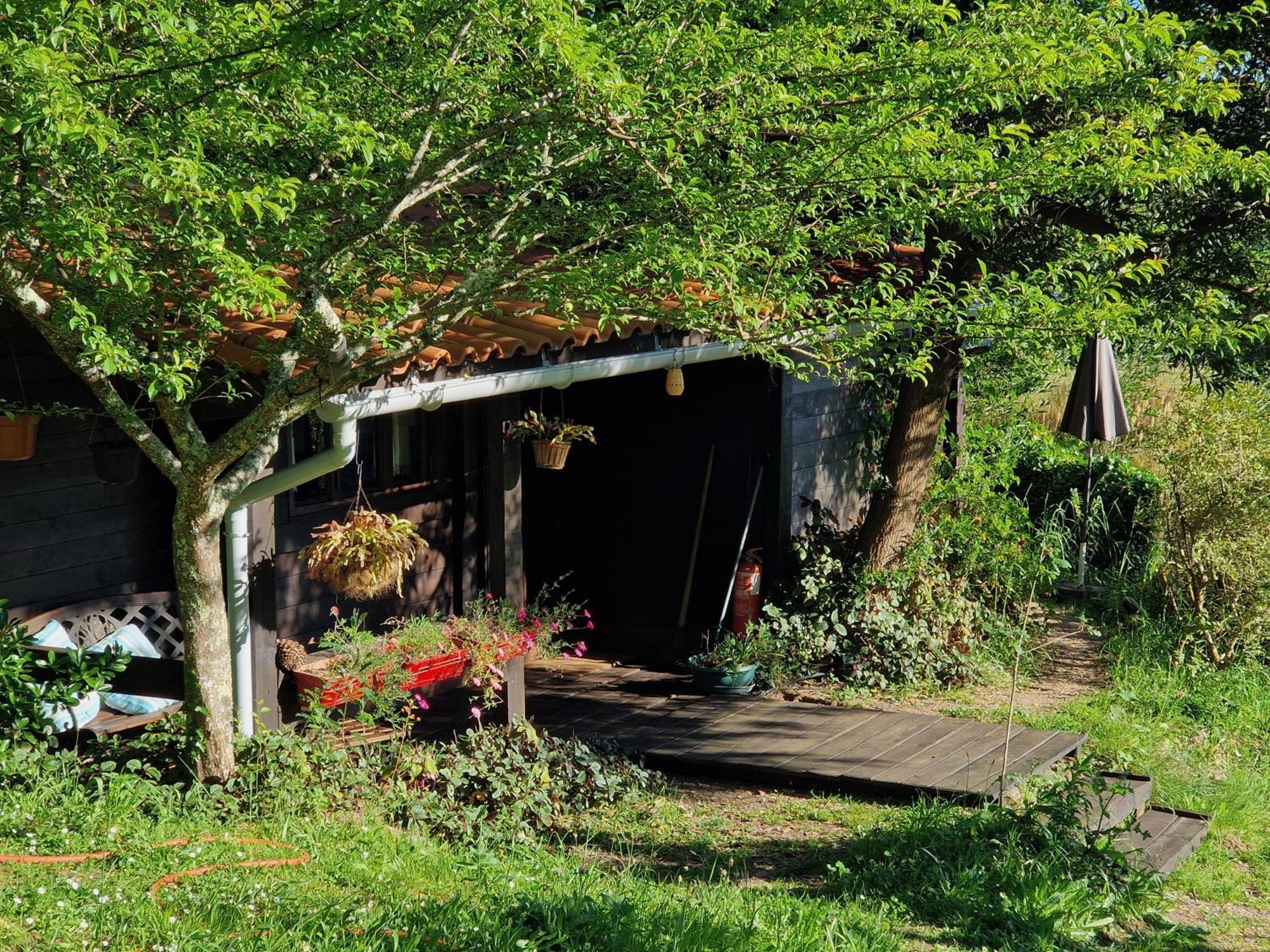 O Cantinho De Coura - A Cabana Paredes de Coura Buitenkant foto