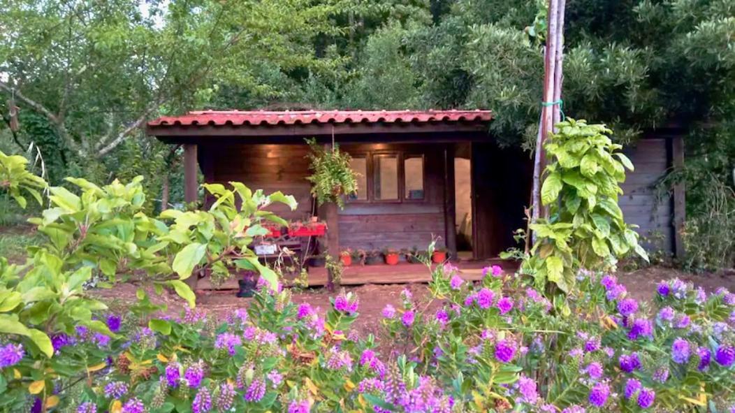 O Cantinho De Coura - A Cabana Paredes de Coura Buitenkant foto